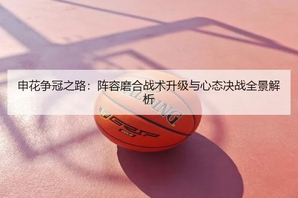 申花争冠之路：阵容磨合战术升级与心态决战全景解析