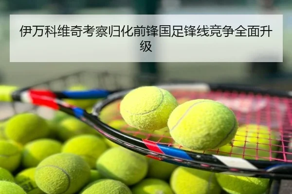 伊万科维奇考察归化前锋国足锋线竞争全面升级